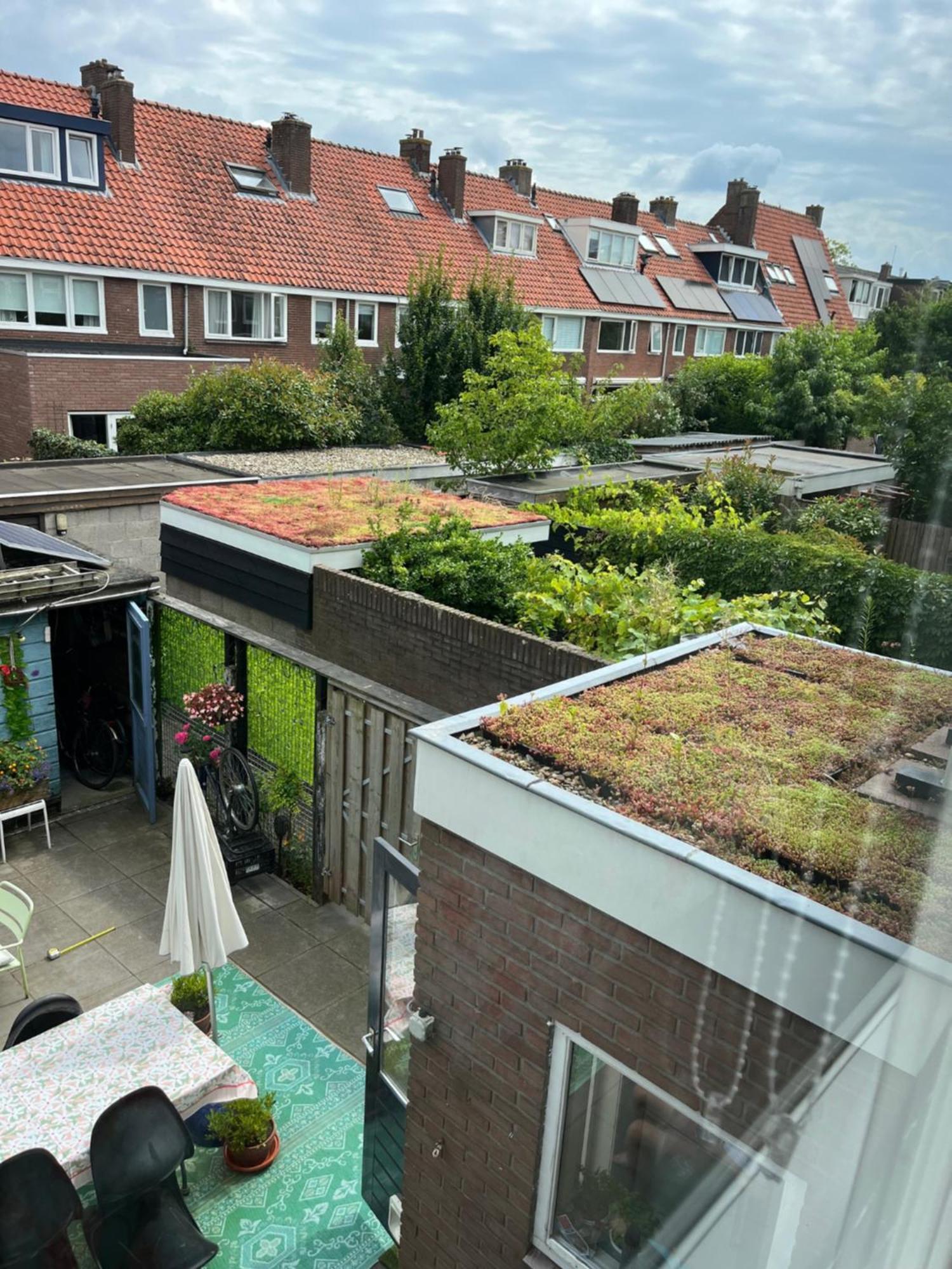 Bebabops Accommodatie bij particulieren *